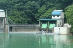 スクリーン・網場